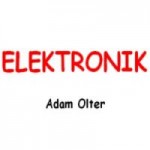 Elektronik Adam Olter