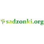 Sadzonki.org Piotr Grzywacz