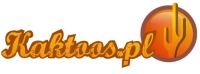 Logo firmy Kaktoos Sp. J.