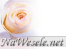Logo firmy NaWesele.net