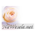 Logo firmy NaWesele.net