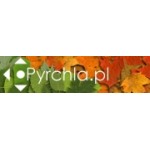 Logo firmy Pyrchla.pl