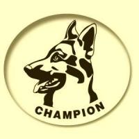 Logo firmy Champion Ośrodek Szkolenia i Tresury Psów