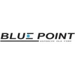 Logo firmy Blue Point Katarzyna Ryszkiewicz
