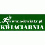 Logo firmy A-kwiaty.pl Anna Słoniowska