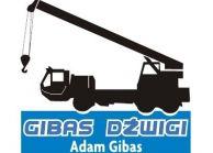 Logo firmy GIBAS - DŹWIGI Adam Gibas
