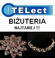 Logo firmy ITELECT