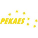 Logo firmy PEKAES SA
