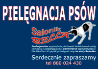 Logo firmy Bella Salonik Pielęgnacji Psów