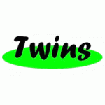 Logo firmy Twins