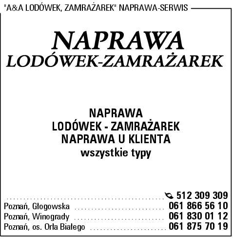 Firma Naprawa Lodówek Poznań- Serwis - zdjęcie 1