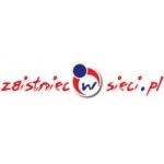 Logo firmy zaistniecwsieci.pl