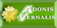 Logo firmy Adonis Vernalis Paweł Strachocki