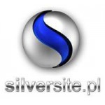 Logo firmy Silversite.pl Michał Kalkowski