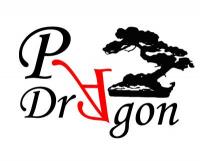 Logo firmy Pracownia Artystyczna Dragon Maria Pietras
