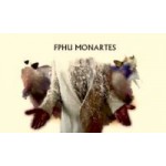 Logo firmy FPHU MONARTES