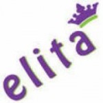 Logo firmy Elitarna Szkoła Jazdy ELITA