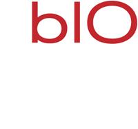 Logo firmy blO wooden toys