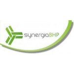 Logo firmy Synergia BHP Krzysztof Wolski