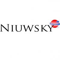 Logo firmy Niuwsky Michał Szymczak