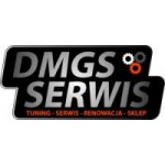 Logo firmy DMGS