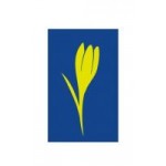 Logo firmy Golden Krokus