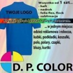Logo firmy D.P. Color Sp. z o.o.