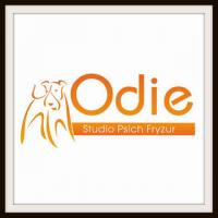 Logo firmy ODIE Studio Psich Fryzur Michał Lipski