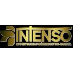 Logo firmy Intenso