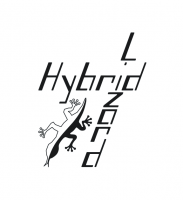 Logo firmy HybridLizard Dawid Ośródka