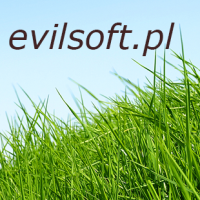 Logo firmy Evilsoft.pl Dawid Moskalczuk