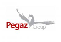 Logo firmy Pegaz Group Sp. z o.o.