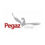 Logo firmy Pegaz Group Sp. z o.o.