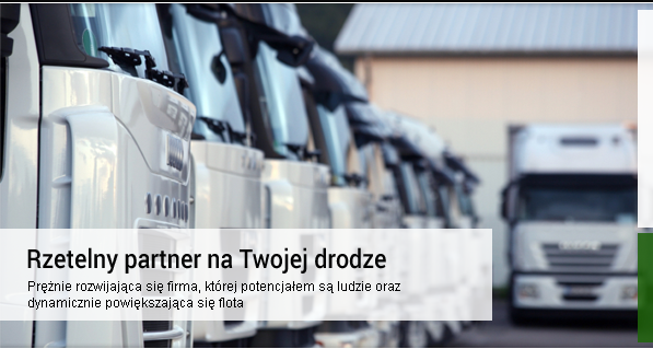 Firma Firma Transportowo-Usługowo-Handlowa Max-Trans Jacek Puzio - zdjęcie 3