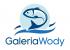 Logo firmy: Galeria Wody