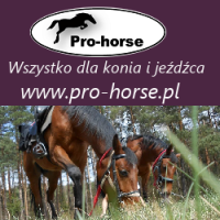 Logo firmy Pro-horse