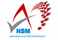 Logo firmy NSM Arkadiusz Niedziółka