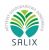 Logo firmy: SALIX Kędziora Sp. j.