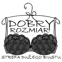 Logo firmy Adamczyk Consulting Robert Adamczyk
