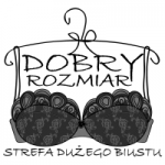 Logo firmy Adamczyk Consulting Robert Adamczyk