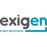 Logo firmy Exigen Robert Brzozowski