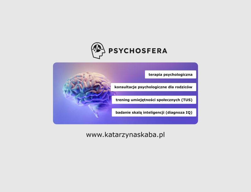 Firma PsychoSfera Katarzyna Skaba Gabinet Psychologiczny dla dzieci i młodzieży - zdjęcie 2