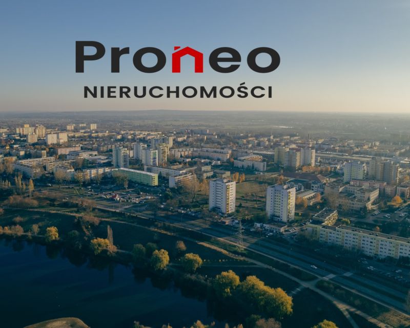 Firma Proneo Sp. z o.o. - zdjęcie 2