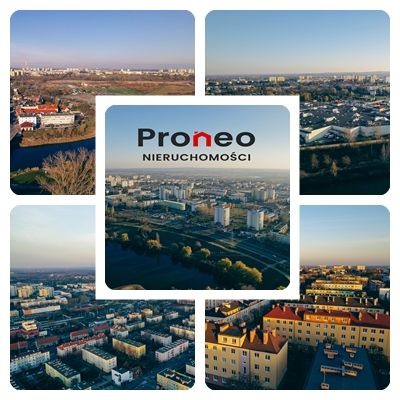 Firma Proneo Sp. z o.o. - zdjęcie 3